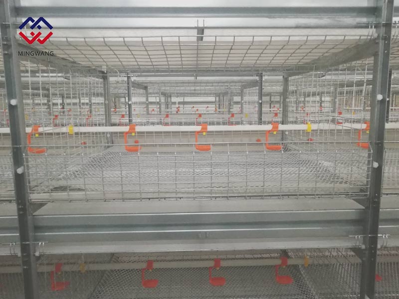 養(yǎng)雞怎樣選擇肉雞籠？