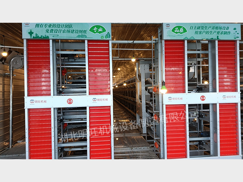 全自動撿蛋機(jī)